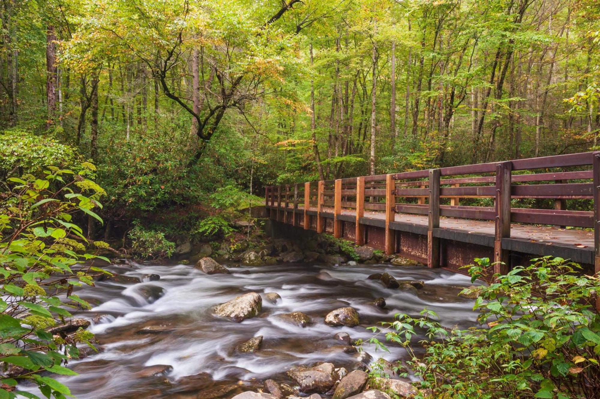 The Mason Jar, Hot Tub, Wifi, 1089 Free Tickets Each Paid Day, Dollywood And More! Pigeon Forge Exteriér fotografie